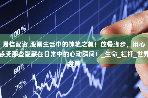 易倍配资 股票生活中的惊艳之美！放慢脚步，用心感受那些隐藏在日常中的心动瞬间！_生命_杠杆_世界