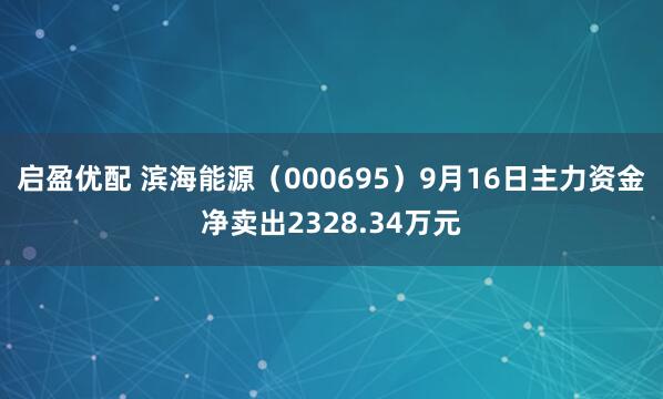 启盈优配 滨海能源(000695)9月16日主力资金净卖出2328.34万元