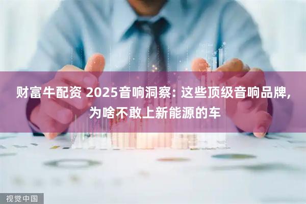 财富牛配资 2025音响洞察: 这些顶级音响品牌, 为啥不敢上新能源的车